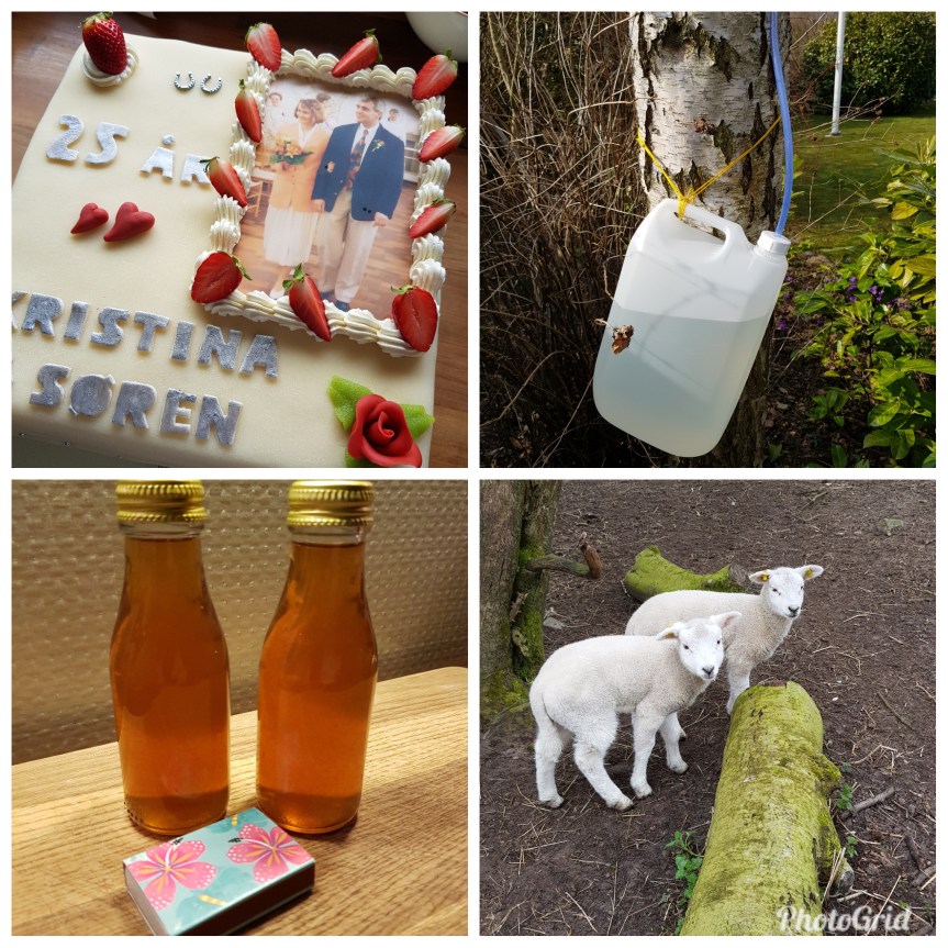 PhotoGrid_1531819163065